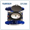 Đồng hồ nước sạch FLOWTECH DN300