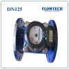 Đồng hồ nước thải FLOWTECH DN125